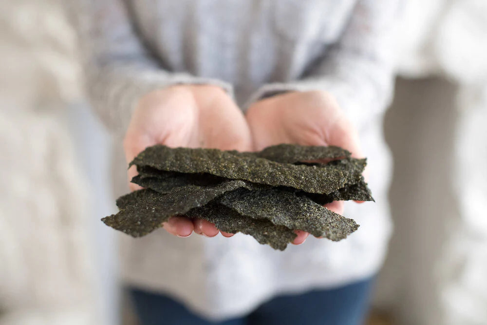 Hands holding strips of Nora Seaweed Snacks